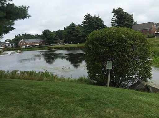 3rd image of 21 Patricia Dr
