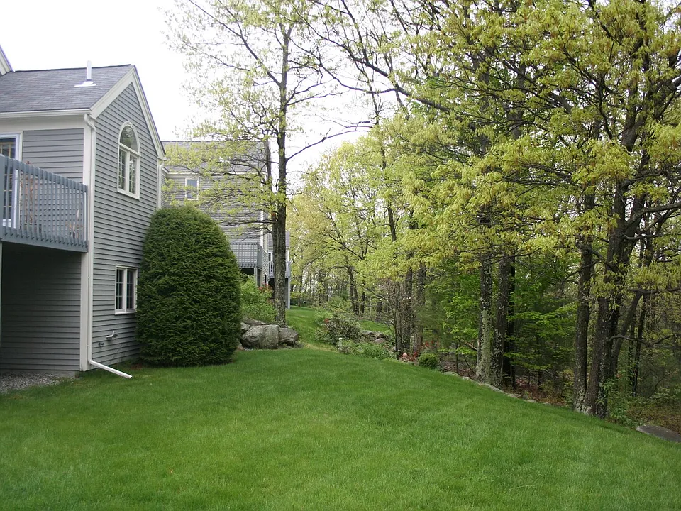 Back of the house