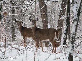 Maccauley Rd, Albrightsville, PA 18210