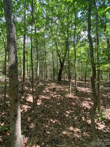 0 Highway 97, Sharon, SC, 29742