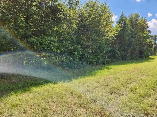 Highway 80 E, Mineola, TX 75773