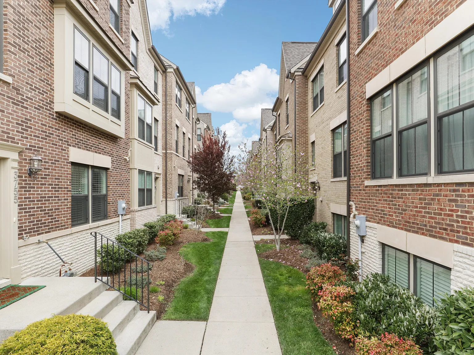 3 bed, 2300 sqft, $4,500 — Photo 3