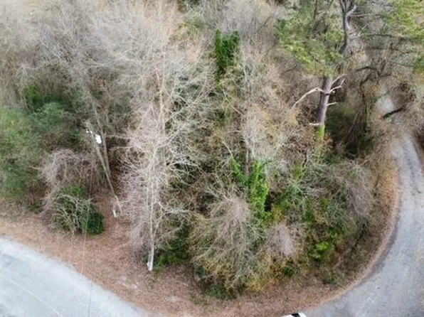 Pleasent Grove Rd, Oakman, AL 35579