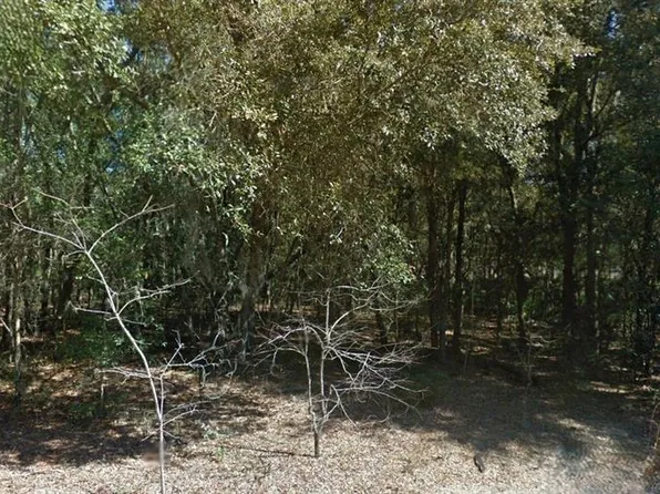 202 Cedar Trl Lot 3, Interlachen, FL 32148