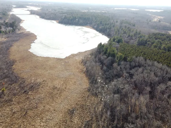 Xx Grandy Pines Rd NE, Stanchfield, MN 55080