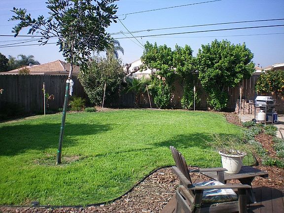 Landscaped backyard