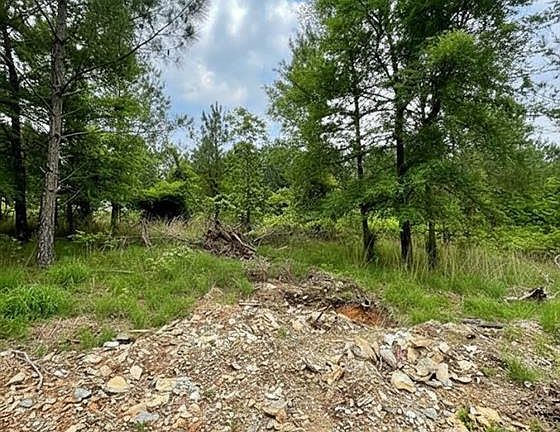 3rd image of 669 Timber Creek Trl