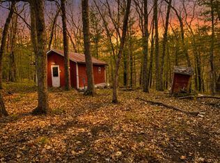 9075 S Larson Ave, Baldwin, MI 49304