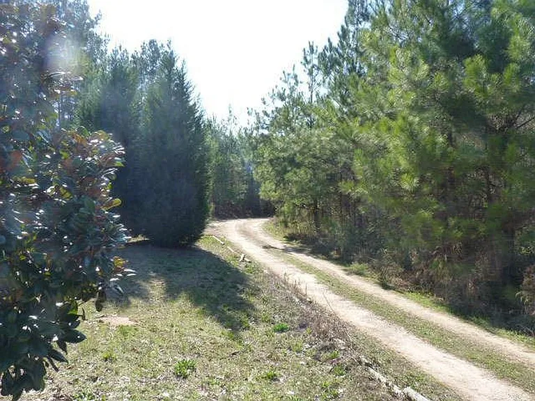 825 Allen Rd — Photo 5