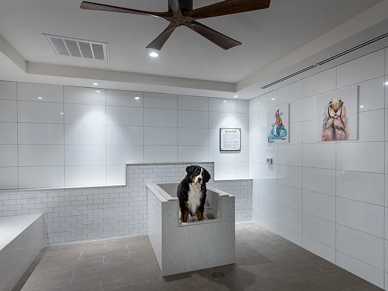 Windsor Mystic River includes a pet spa for our furry residents.