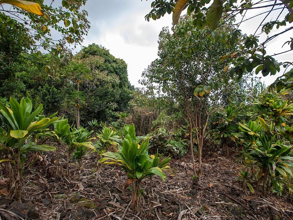 2nd image of Middle Keei Rd