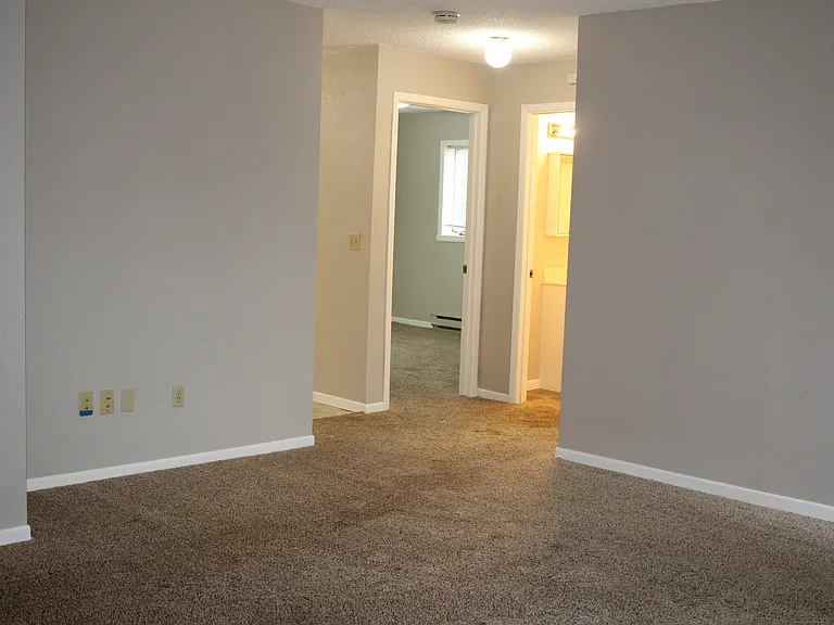 Apt 301 - 11_11222019