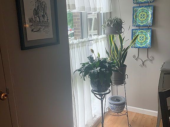 New window w/lots of light