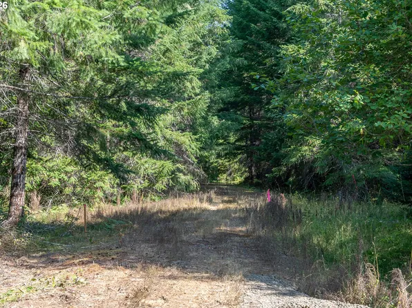Hawk Meadows Rd #3, Carson, WA 98610