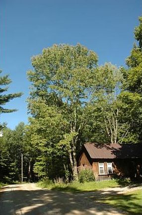 HEATED OFFICE SPACE BARN ELL