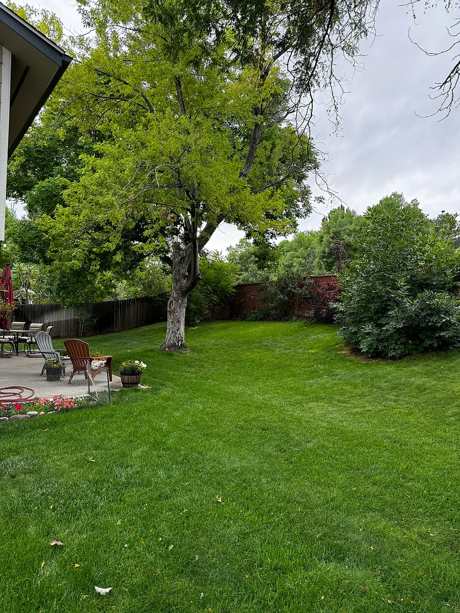 Backyard - 10740 E Ida Ct