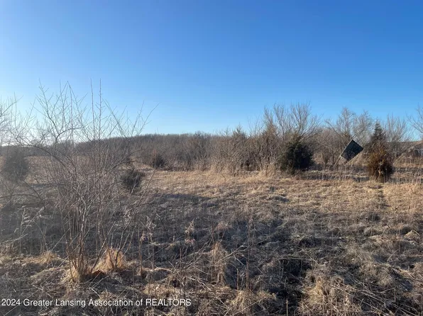 Na Lemon Rd, Bancroft, MI 48414
