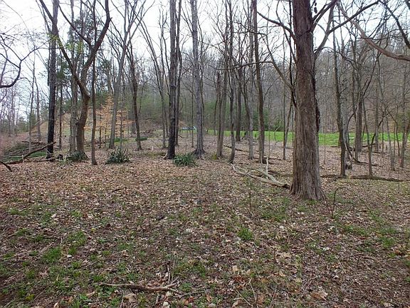 3rd image of 177 Walnut Bend Dr
