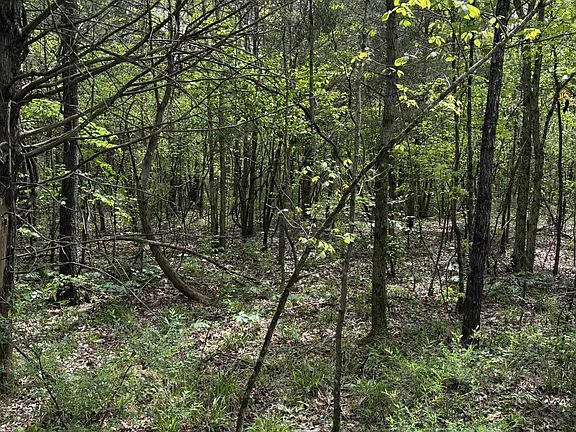 4th image of 10 County Road 83