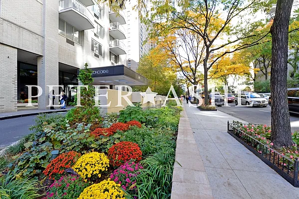 Rented by Peter Ashe | media 51