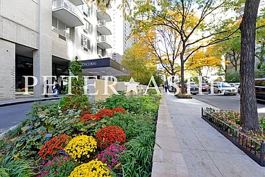 Rented by Peter Ashe