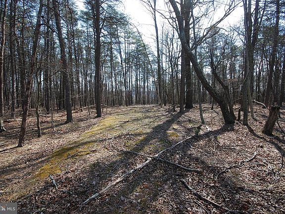 2nd image of Martin Ln