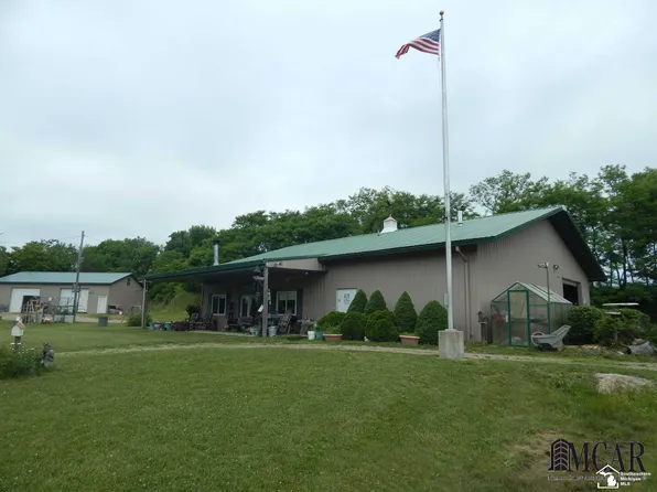 12695 W Carleton Rd, Clayton, MI 49235