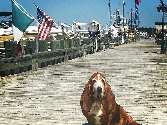 Community Private Boardwalk 