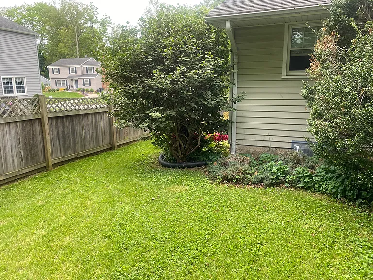 Back right side of the yard, it is deeper than it appears