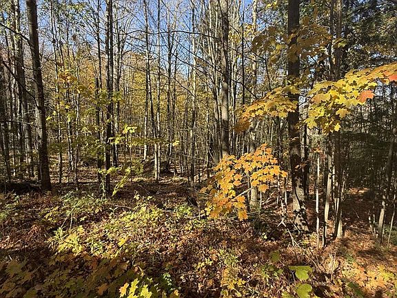4th image of 0000 Ashland Bayfield Rd