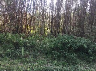 LOT 8047th, Mountain View, HI 96771
