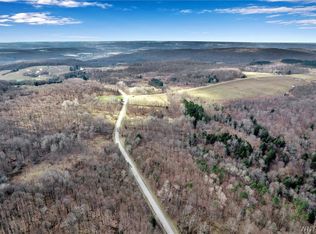 0 Snake Run Rd #26, East Otto, NY 14729