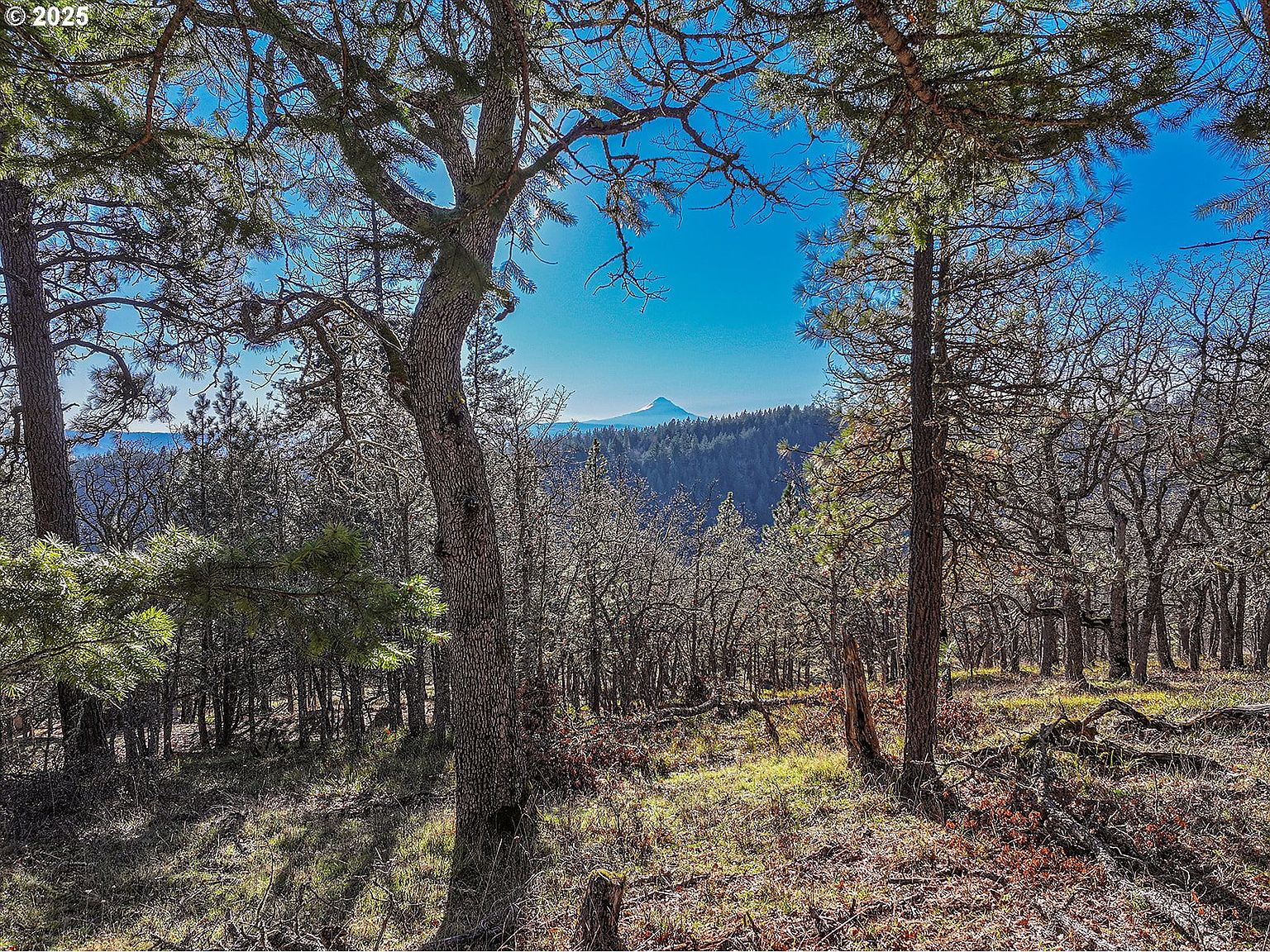 Knoll Ridge Knoll Ridge Rd #11, Lyle, WA 98635 | Zillow