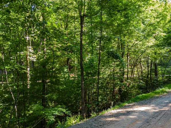 12 Hickory Dr, Mineral Bluff, GA 30559
