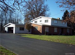 66 S Edgewood Dr, Springville, NY 14141