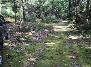 Deer Hill Rd, Wurtsboro, NY 12790