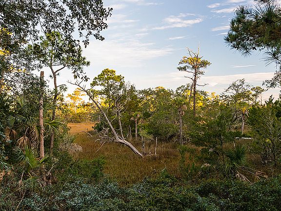 2nd image of 85 Wax Myrtle Ct