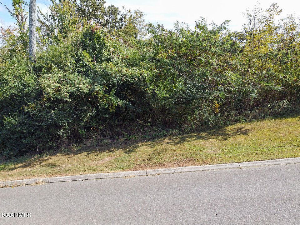 1st image of Ambernic Way
