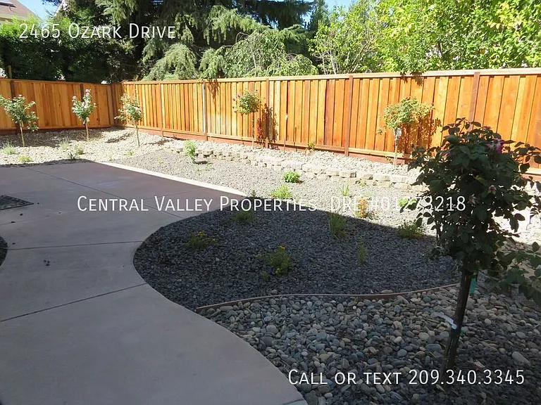 2465 Ozark Dr — Photo 13