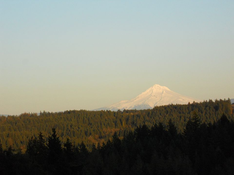 Mount Hood view