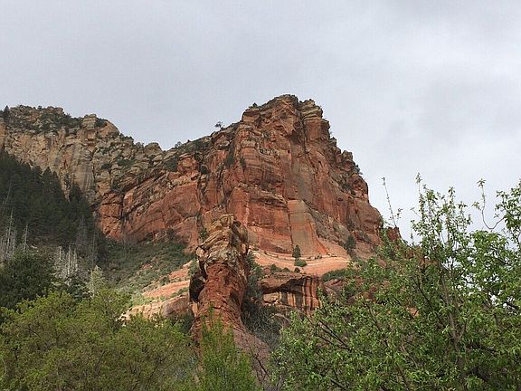 View from from front door