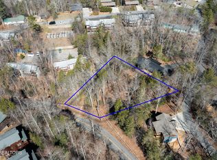 2 Johnson Lane Proffitt Rd, Gatlinburg, TN 37738
