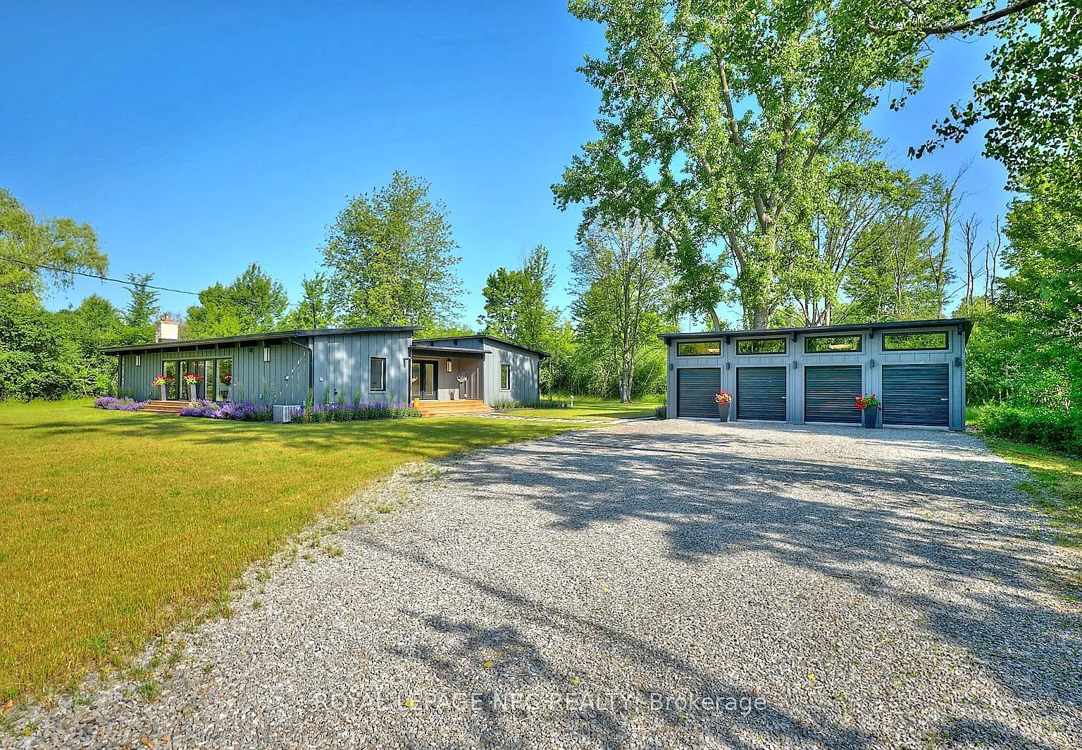 3 bed, $4,000 — Photo 4