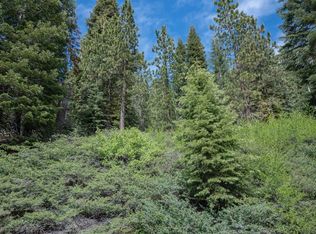 63 Liberty Rd, Arnold, CA 95223