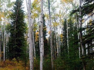 L4B9 Hanus St, Tok, AK 99780