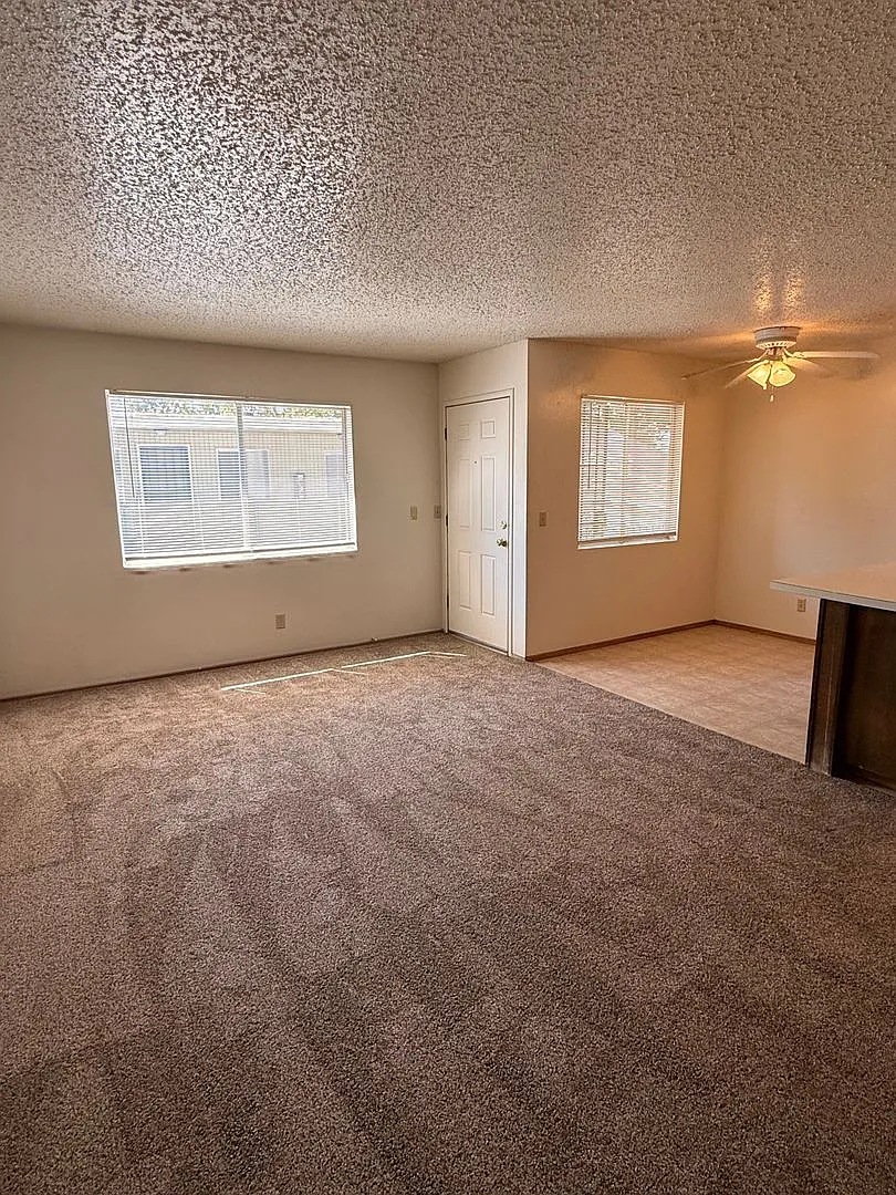 0753 - 216 W Sac — Photo 3
