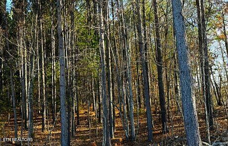 3rd image of 194 Forest Ridge Ln