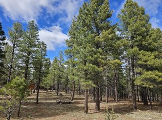 2509 Apache Dr, Happy Jack, AZ 86024