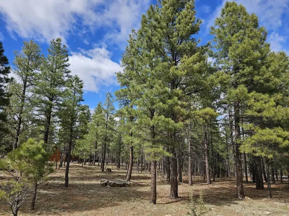 2509 Apache Dr, Happy Jack, AZ 86024