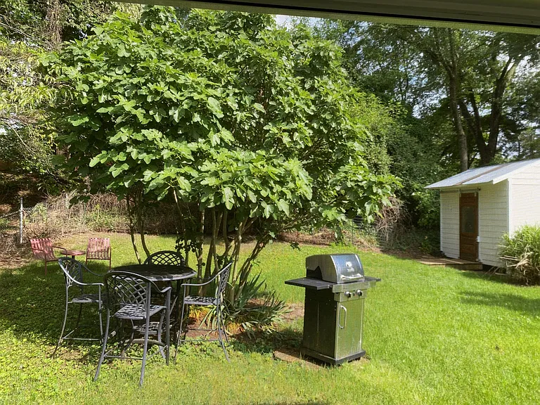 Fig tree, outdoor dining table and gas grill.